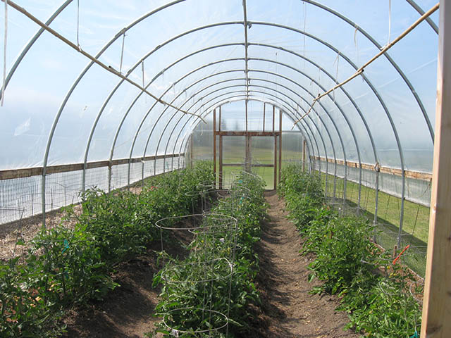 High Tunnel Hoop House