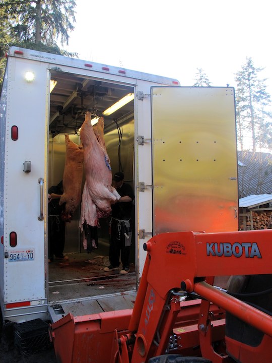 Mobile butcher strives for 'clean, efficient and painless', Local&State